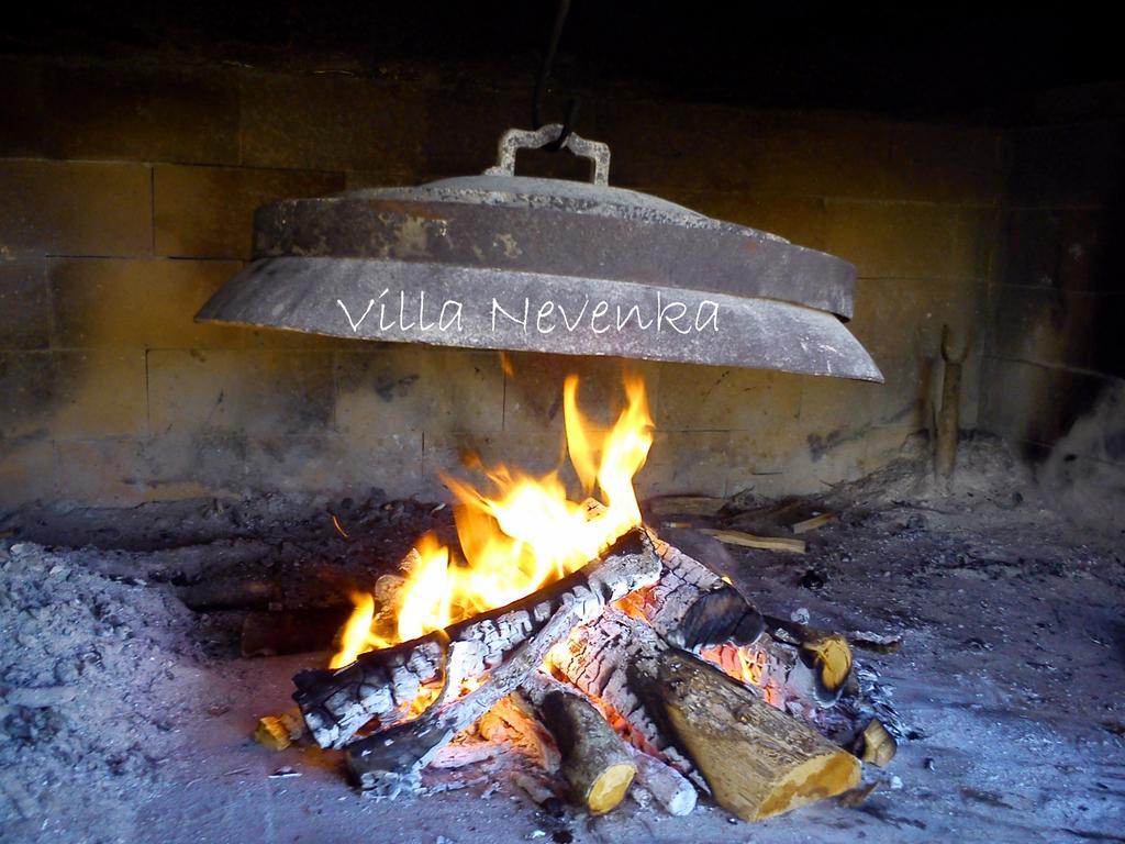 Apartments Villa Nevenka 로고즈니차 외부 사진